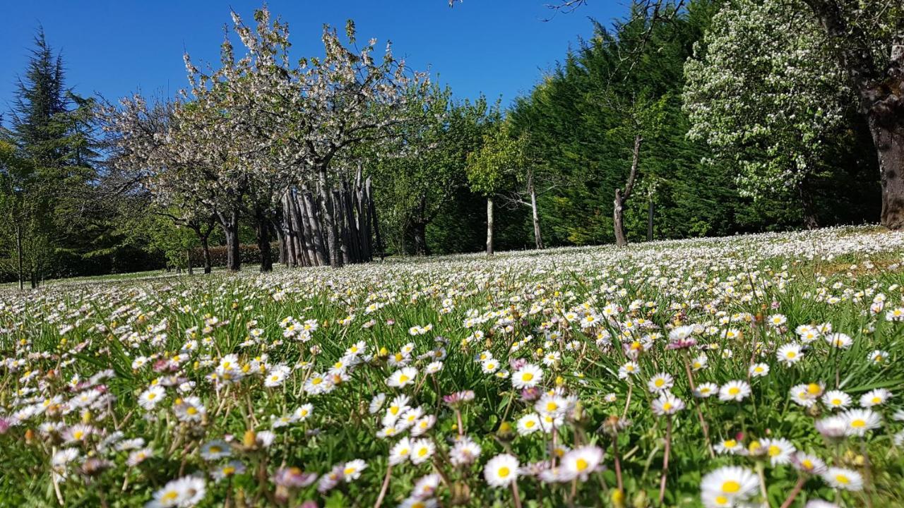 Chambres D'Hotes Domaine De La Brette Moncrabeau Dış mekan fotoğraf