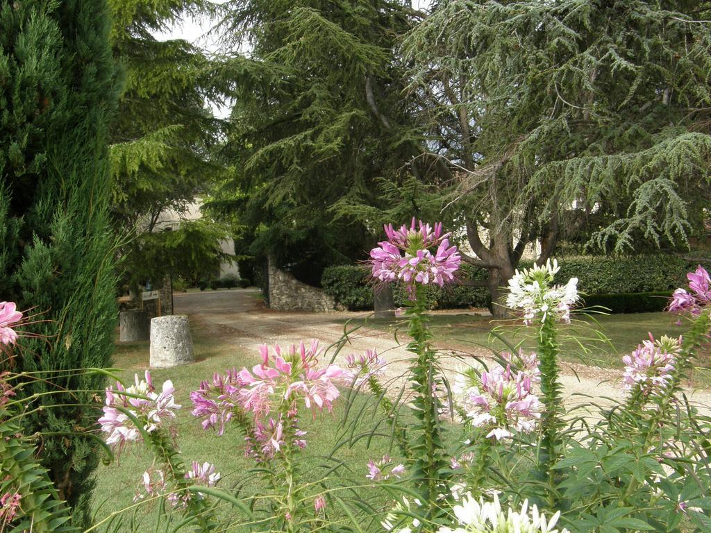 Chambres D'Hotes Domaine De La Brette Moncrabeau Oda fotoğraf